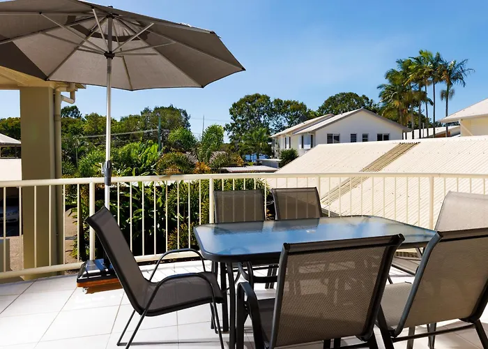 Noosa River Palms